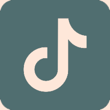 TikTok Icon